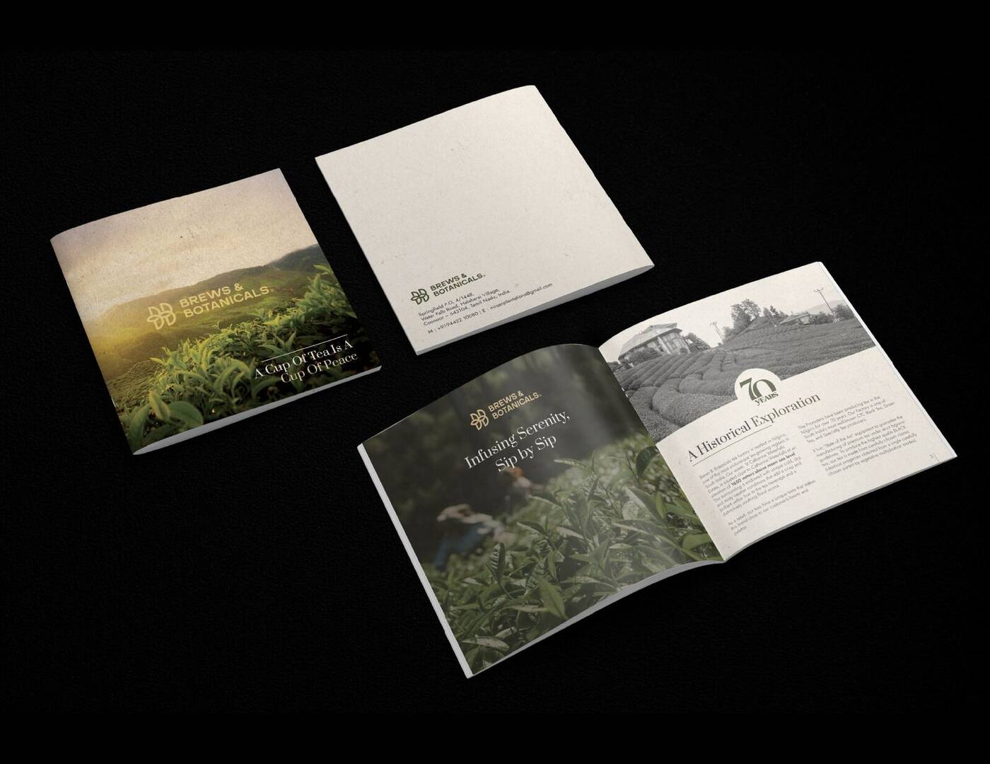 Brochure design